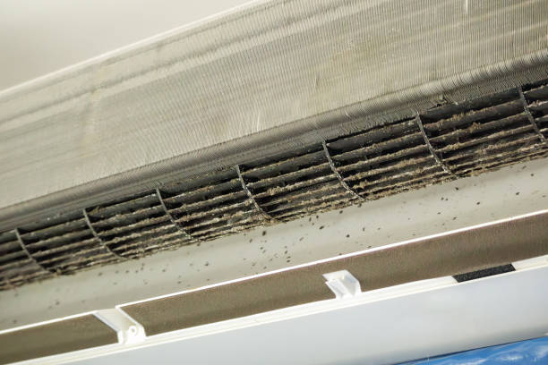 Best Affordable Air Duct Cleaning  in Melbourne, FL